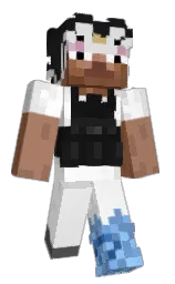 Classic Minecraft skin