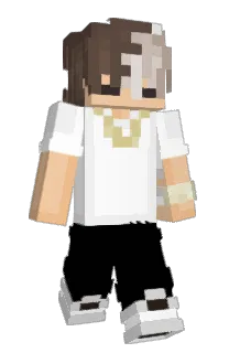 Front of Wafeleek88's skin