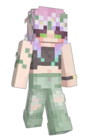 Skin preview