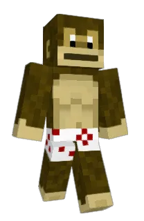 Front of Minecraft skin