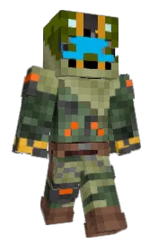 Skin preview