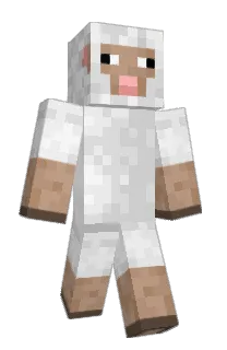 Front of AverageSheep's skin