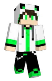 Skin preview