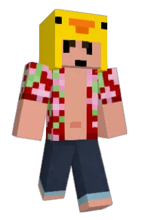 534's Minecraft skin