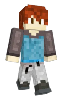 Front of Datamania's skin