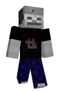 73mo Minecraft avatar full body
