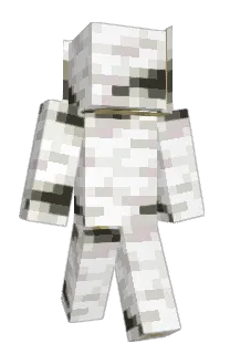 Front of Cublix22's skin