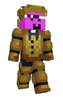 Front of ImG4's skin