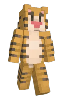 Front of Bongul's skin