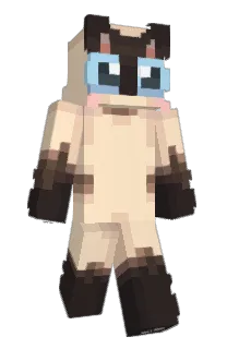 Front of sDaiii's skin