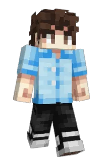 Front of C4RTO's skin