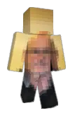 743fps Minecraft avatar full body