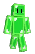 Choipicon