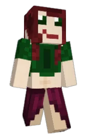 Skin preview