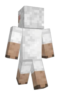 Front of AverageSheep's skin