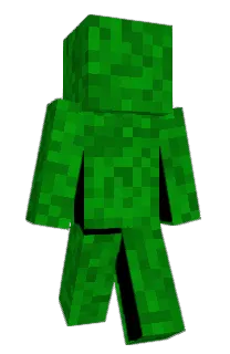 Front of 1Biank's skin