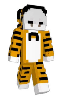Front of SantaCruz380's skin