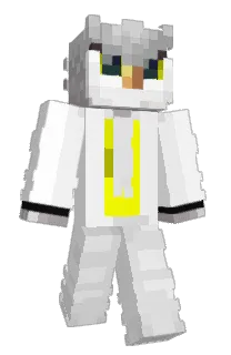 CorujaOwl's Minecraft skin