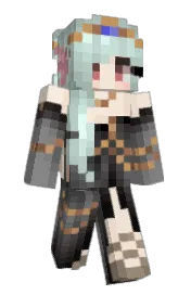 Skin preview
