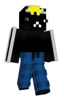 Front of a11ract's skin