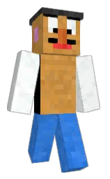 Minecraft skin — Classic model