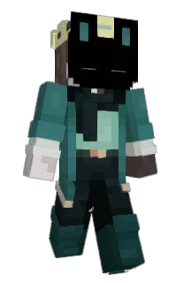 Front of Ashicho's skin