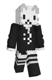 Front of Vawtech2's skin