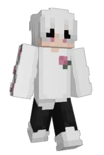 74Flikk Minecraft avatar full body