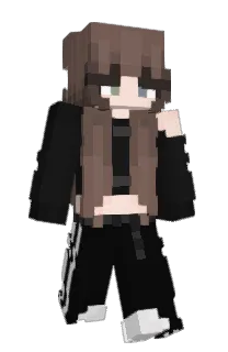Front of MIT33812's skin