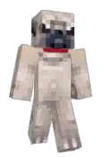 EnderWiggin02
