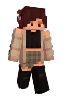 Front of ideac's skin