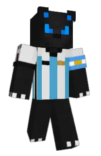Front of Dqco's skin