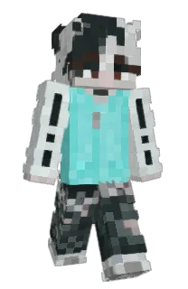 Front of Arcfire_'s skin