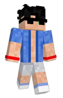 Front of ohNekoh's skin