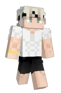 Front of MullFyk's skin