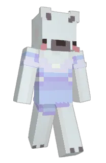 Front of sadnboujee's skin