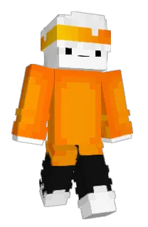 playerxzin's Minecraft skin