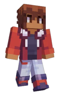 Front of flashwing123's skin