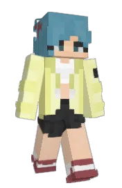 Skin preview