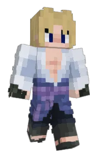 Front of CraftW1zard's skin