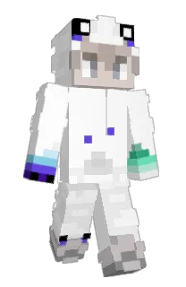 Front of bippodippo's skin