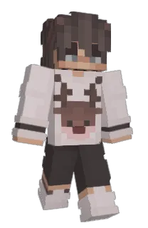 Front of TelixDan's skin