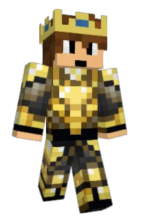 Front of SkTz's skin