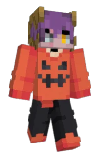 Znikiznicz's Minecraft skin