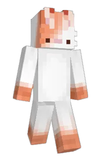 Front of unitk's skin