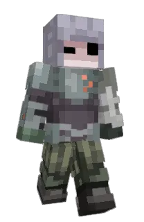 Front of incomtest's skin
