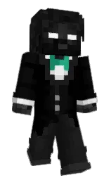 Mr_Sir_1337's Minecraft skin wearing the Migrator cape