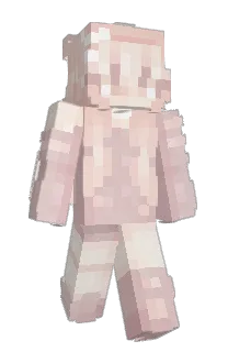 Front of DarthMine's skin