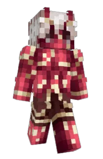 Front of ekonW's skin