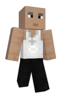 Front of summerwave's skin